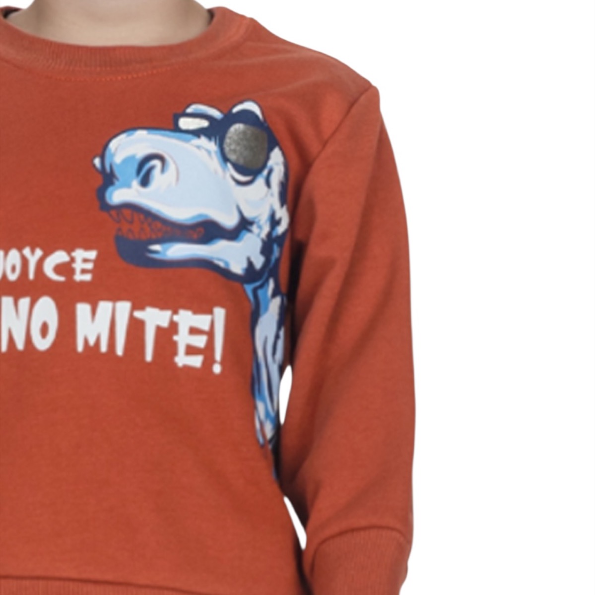 Παιδικό σετ φόρμας αγόρι με μπλούζα καφέ και τύπωμα δεινοσαύρου