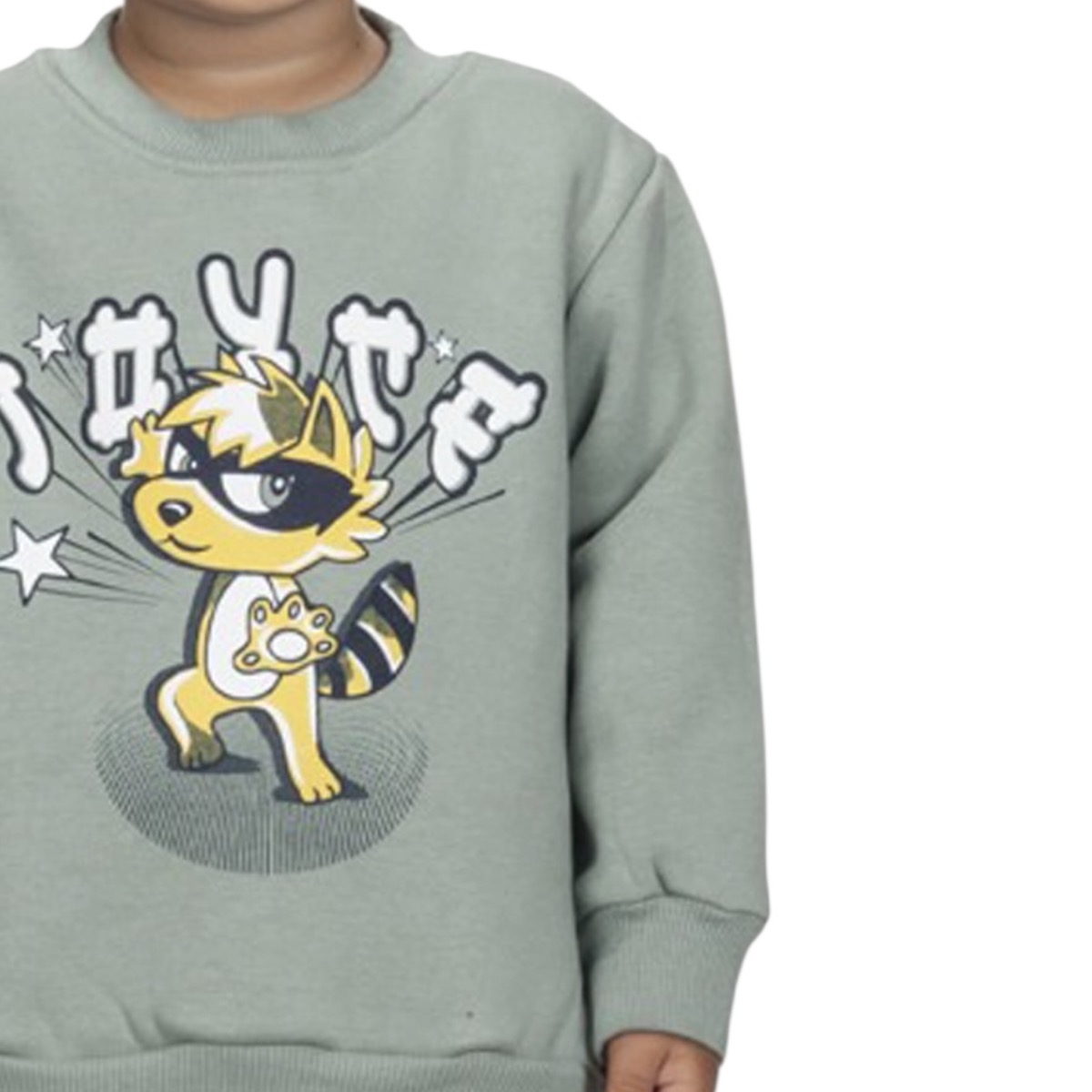 Πράσινη μπλούza για αγόρι με στάμπα ρακούν