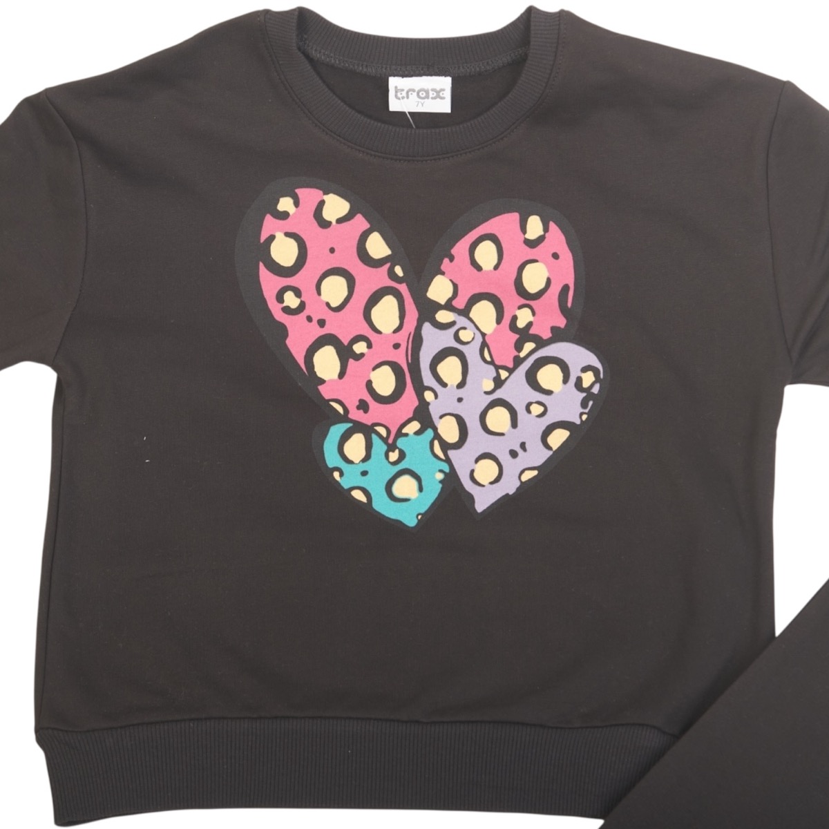 Σετ φόρμα κοριτσιών από λεπτό φούτερ ύφασμα με εσωτερικό χνούδι