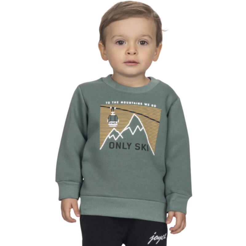 Φούτερ μπλούζα Joyce με χνούδι για αγόρια σε πράσινο χρώμα